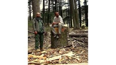 Mustapha Hafid, left, a state forestry agent, and Mustapha Allaoui, a local conservationist, survey the remains of a cedar grove in the Idikel forest that had been illegally cut down.