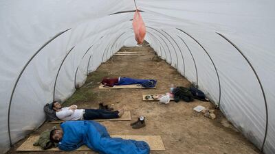 Jewish settlers rest in a greenhouse at Amona, an unauthorised Israeli outpost in the occupied West Bank, on December 18, 2016. Oded Balilty/AP Photo