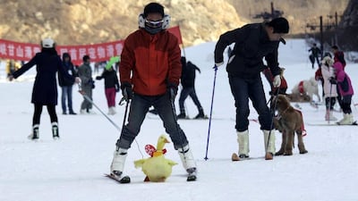 Skiing has become more popular in China in recent years, with a range of slopes opening across the country’s cold north, and it is bidding for the 2022 Winter Olympics.