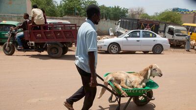 A man transports a sheep after purchasing it from a livestock market ahead of Eid Al Adha in Al Hasaheisa, about 120 kilometres south of Sudan's capital. AFP