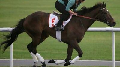 American horses have not fared well on the Tapeta surface but Royal Delta will look to change that.