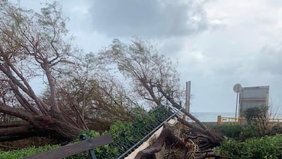 View of a tree knocked down by Medicane (Mediterranean hurricane) Ianos on Zakynthos island, Greece. A rare hurricane-like cyclone in the eastern Mediterranean, a so-called 'Medicane', named Ianos is forecasted to make landfall on Kefalonia, Ithaca and Zakynthos with winds reaching hurricane-force Category 1. EPA