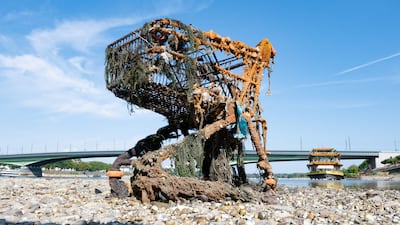 A rusted shopping cart in the Rhine river exposed by the low tide in Bonn, Germany. Reuters