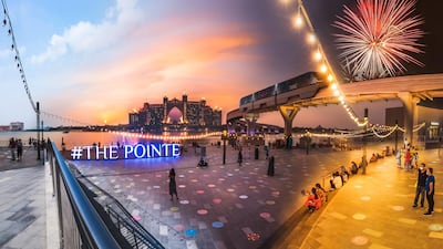 'Palm Scenes' by Florian Kriechbaumer