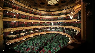 Following the concert, the plants are being donated to healthcare workers who have been fighting Spain's Covid-19 outbreak. Reuters