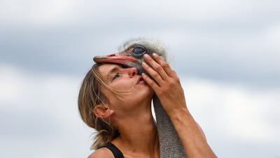 Wendy Adriaens, nicknamed the 'Ostrich Whisperer' and owner of animal rescue farm De Passiehoeve, poses for a photo with 3-year-old male ostrich Flodder, in Kalmthout, Belgium. EPA