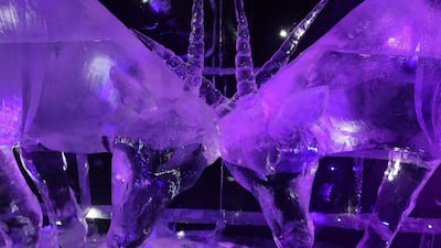 The ice park keeps its temperature at a cool 7°C. Chris Whiteoak / The National