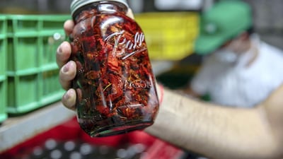 Organic dried tomatoes in olive oil being packed for delivery.