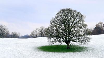 A tree stands out in a snow covered field near Ashford in Kent. AP Photo