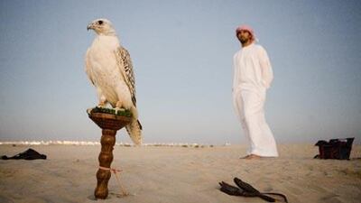 After a campaign led by the UAE, falconry has been recognised officially as a "live human heritage” by Unesco, the United Nations Educational, Scientific and Cultural Organisation.