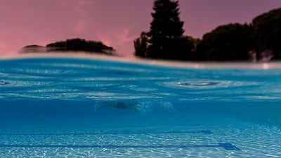 A swimmer cools off in a pool during a heatwave in Madrid. Temperatures in parts of Spain have hit 40°C in the shade. AFP