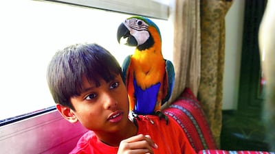 Elijah went missing on April 19 near Hercules Tower in Living Legends, a gated community in the emirate.