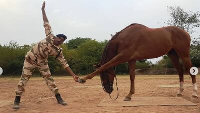 A ITBP troop in Panchkula performs yoga with one of their horses. Instagram / ITBP_Official
