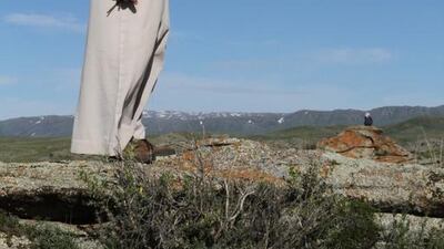 Twenty-two peregrine falcons and four saker falcons have been released into the wild in Kazakhstan as part of the Sheikh Zayed Falcon Release Programme. Courtesy Sheikh Zayed Falcon Release Programme