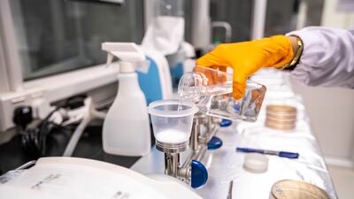 The Abu Dhabi Quality and Conformity Council team at the laboratory works to maintain the safety and quality standards of products traded in Abu Dhabi.