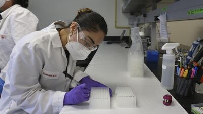 Lab technician Joanna Karely labels a deepwell plate used for holding extracted Covid-19 testing samples, at the UT Health RGV Clinical Lab on the UTRGV campus in Edinburg, Texas. AP Photo