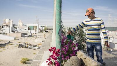 Plants everyday at 4:15pm.