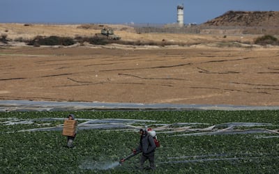Before the Israel-Hamas war, Beit Lahia was known for its strawberry production. EPA