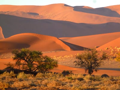 The IUCN World Heritage Outlook 4 report confirms climate change as the single largest current danger to World Heritage sites, such as Namib Sand Sea in Namibia. Photo: Picasa