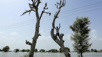 A flooded area of Burewala, a town in southern Punjab province. All photos: AFP