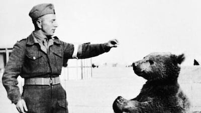 Wojtek was a Syrian brown bear cub found in Iran and adopted by soldiers of the 22nd Artillery Supply Company of the Polish II Corps.