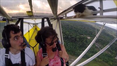 In a video that’s quickly gone viral, a stowaway cat appears to cling onto the safety bar of a microlight plane.