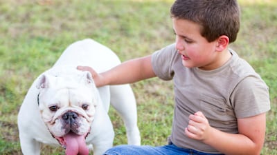 Sam Ray-Elkhodry, 5, with Milly, a deaf white bulldog. Courtesy: Em Ray