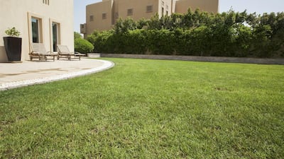 Mona Al Marzooqi / The National