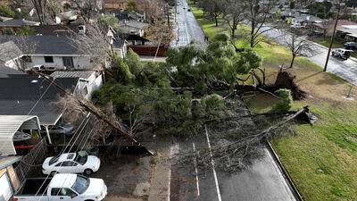 A fallen tree after a winter storm in Sacramento, California. Reuters