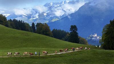 1 - Switzerland. Denis Balibouse / Reuters