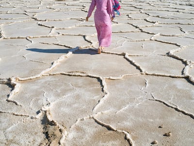 The scenic photographs are each three metres high and more than four metres wide. Courtesy National Pavilion UAE