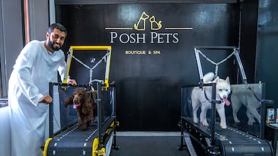 Posh Pets is opened daily from 1pm to 9pm.