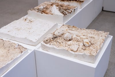 This art installation by Maitha Al Omaira was on show at Abu Dhabi Art 2023, commissioned by the National Multiple Sclerosis Society. Photo: Dirwaza Curatorial Lab