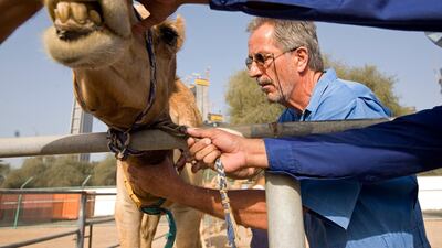 Dr Ulrich Wernery from the Central Veterinary Research Laboratory in Dubai. Jeff Topping / The National