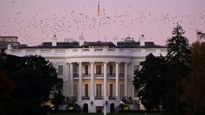 Birds fly over the White House at dusk, the day after a presidential election victory was called for former Vice President Joe Biden, in Washington. Reuters