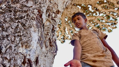 A youth holds up the red resin of the Dragon’s Blood Tree on the Diksam Plateau in the centre of the Yemeni island of Socotra, a species found only on the Indian Ocean archipelago. AFP