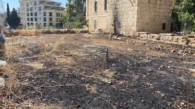 Dar Jacir's urban farm has been burnt to the ground. Photo by Aline Khoury