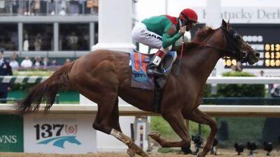 Today's race in Florida is Animal Kingdom's swansong in America but his connections are more focused on the UAE trip next month. Morry Gash / AP Photo