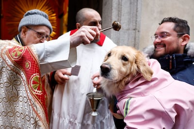 A man holds his dog to be blessed outside St Anton Church in central Madrid on January 17. Anthony the Abbot (San Anton) is the Catholic patron saint of animals. EPA