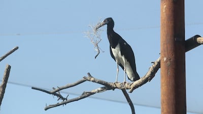 The centre will be open to the public six days a week, excluding Tuesdays. Entrance is Dh15 for adults and free for children under the age of 12. Jeffrey E Biteng / The National