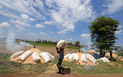 A worker carries a bag of disposed rice husks before burning them in a traditional kiln to produce organic fertiliser, in Mwea, Kenya. Reuters
