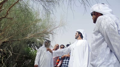 The Liwa City Services Division launched a range of initiatives to protect wild plants and encourage their cultivation. Wam