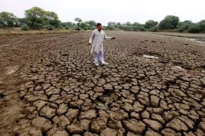 A cane and rice farmer in a dried-up pond bed in India