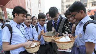 A group of school boys playing with rabbits. Pawan Singh / The National