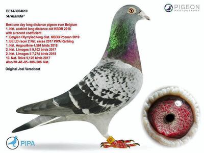 Armando. Courtesy Pipa