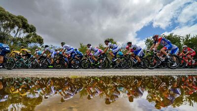 The peloton ride near Cudlee Creek during Stage 3 of the Tour Down Under on Wednesday, January 23. AFP