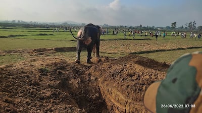 Forest officials in India’s eastern Jharkhand state have rescued an elephant after it fell down a 30-foot well and nearly drowned. All photos: Mobin Akhtar for The National