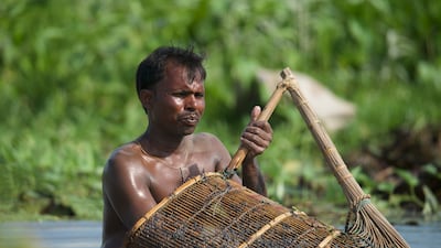 Labourer Dilip Kumar says the work is tedious and the thorns prick his hands but he earns more than if he was working in a paddy or maize field