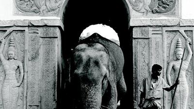 An elephant at a temple in Sri Lanka. Kandy, the main character in Beggar’s Feast, works at a variety of jobs, including a stint as an elephant tender on a cargo ship. Palani Mohan / Reportage by Getty images