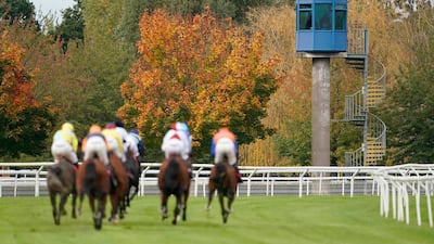 Action from at Kempton Park Racecourse in England on Sunday, October 20. Getty